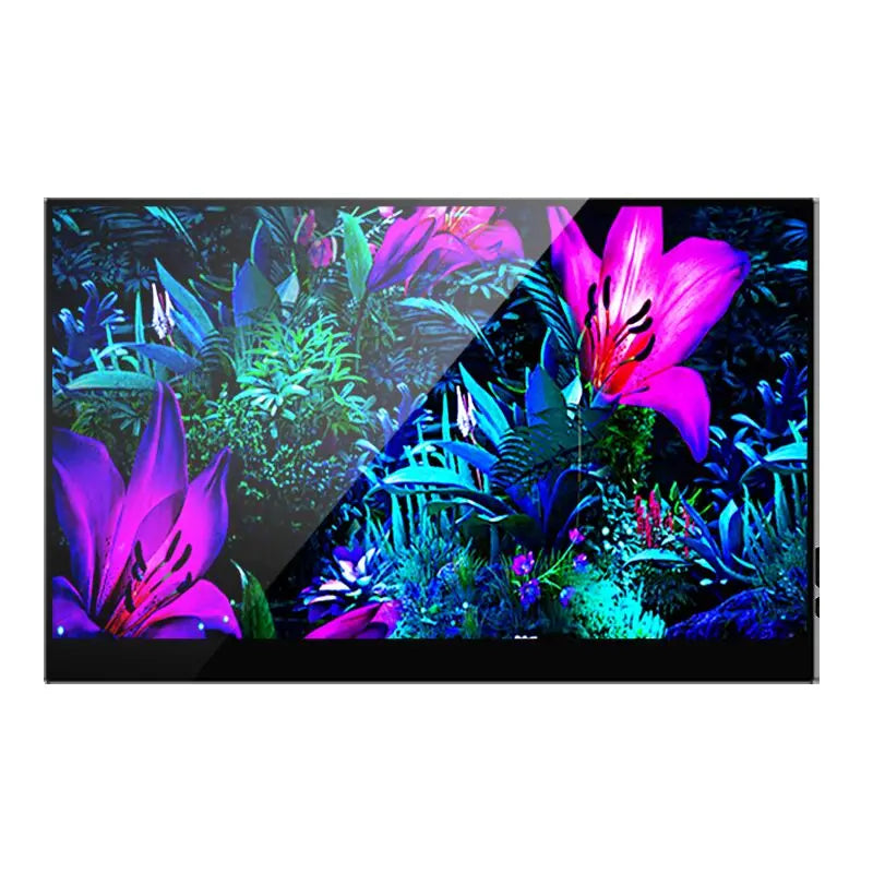 OLED 4K Portable Touchscreen Monitor 60Hz 13.3 Inch