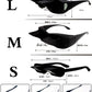 Anti Neck Pain Glasses