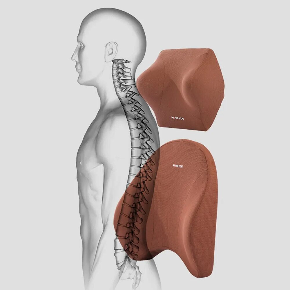 Lumbar & Headrest Support Set