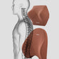 Lumbar & Headrest Support Set
