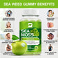 Sea Moss Gummies