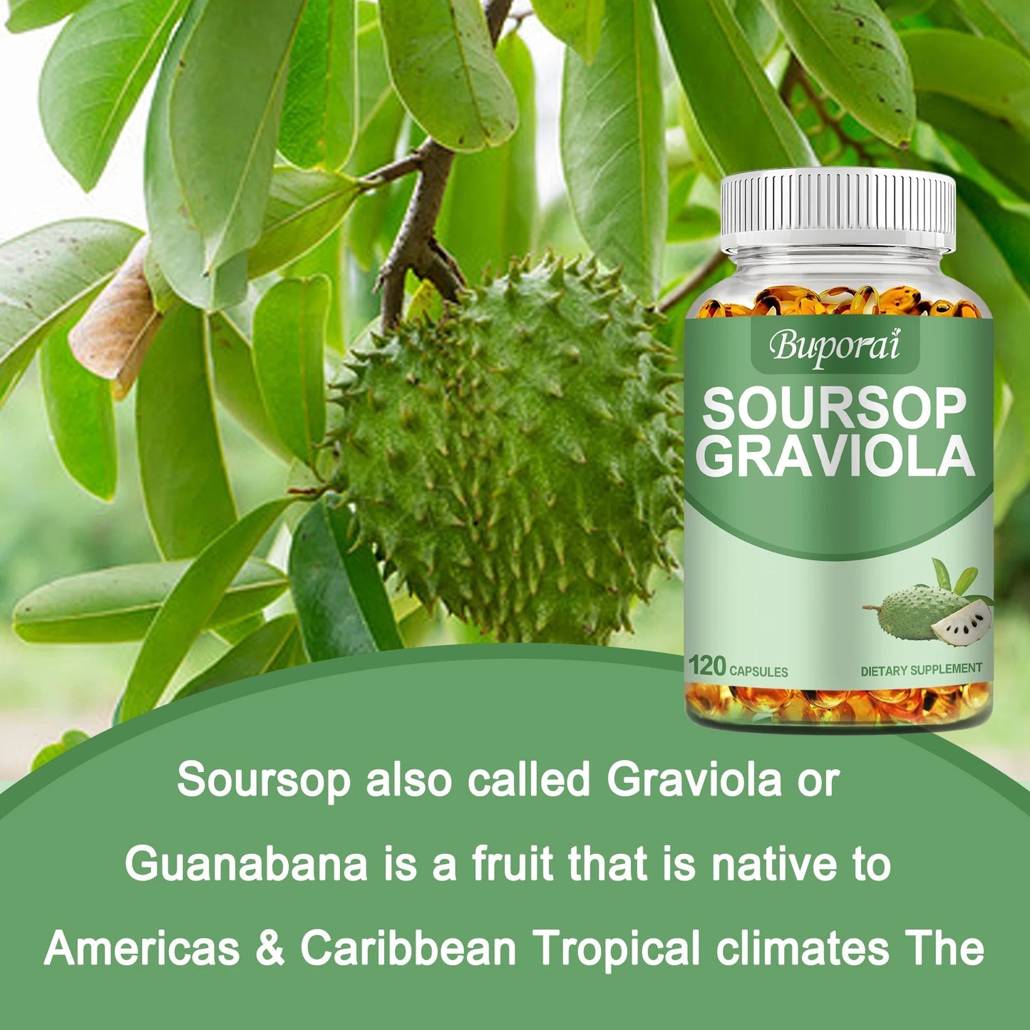 Soursop Graviola 120 Capsules