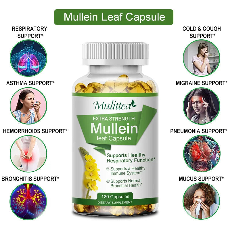 Mullein Leaf Capsules