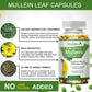 Mullein Leaf Capsules