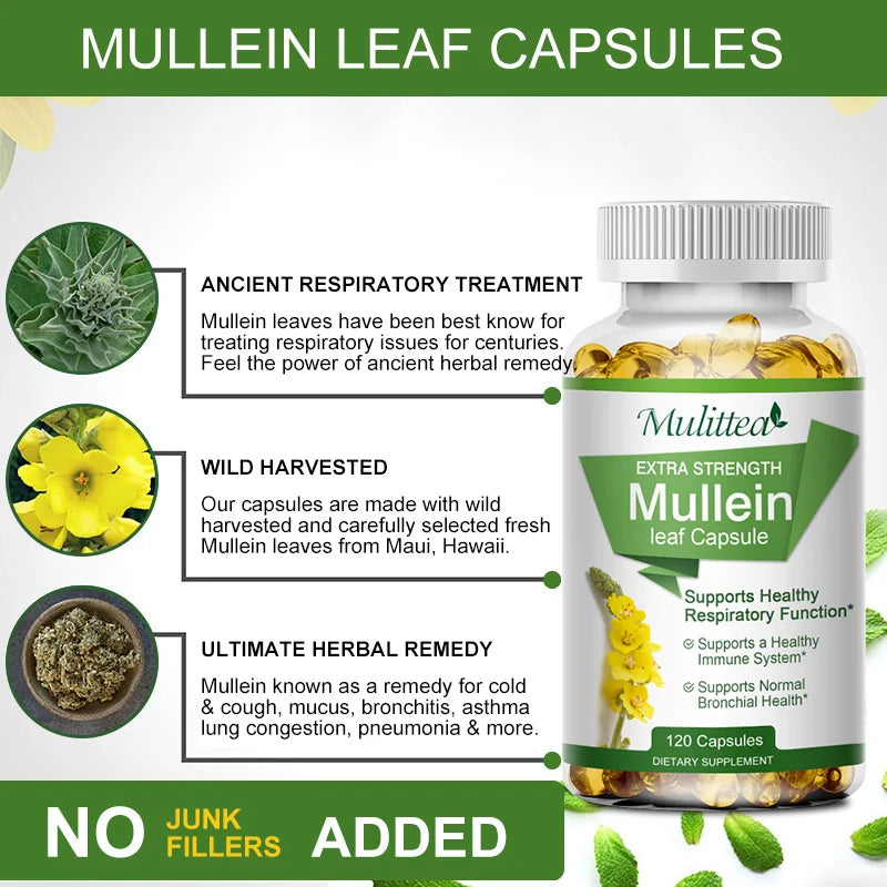 Mullein Leaf Capsules