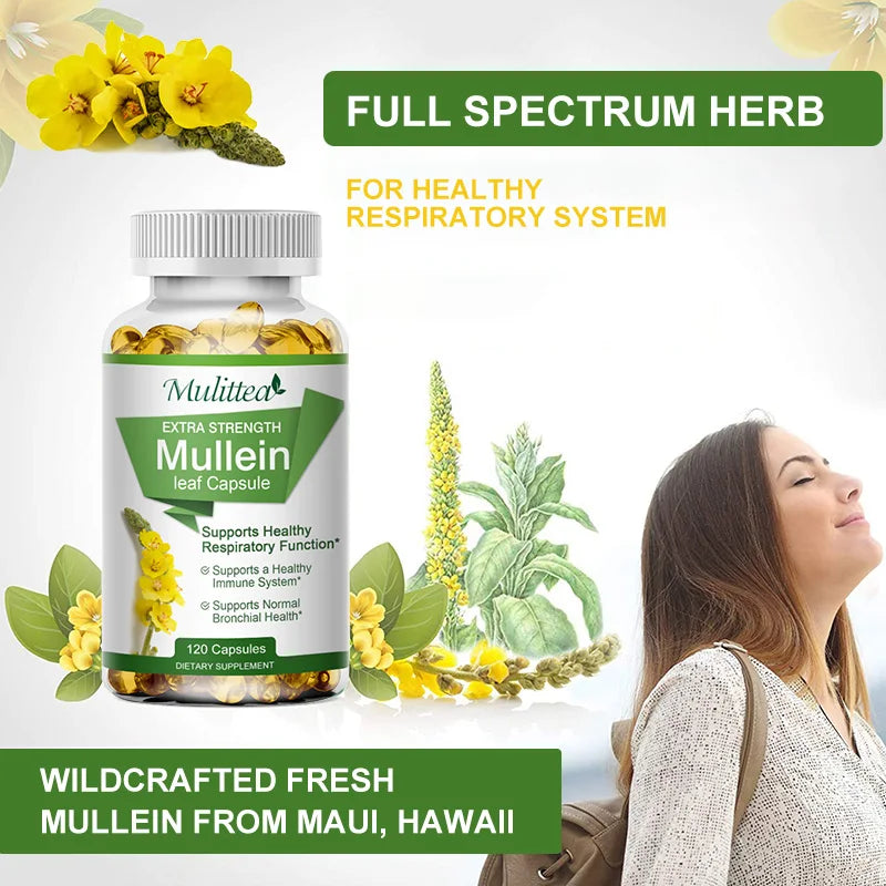 Mullein Leaf Capsules