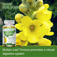 Mullein Leaf Capsules