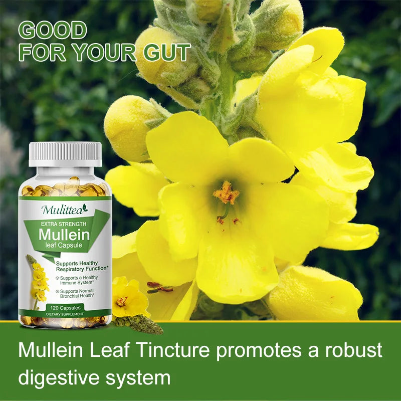 Mullein Leaf Capsules
