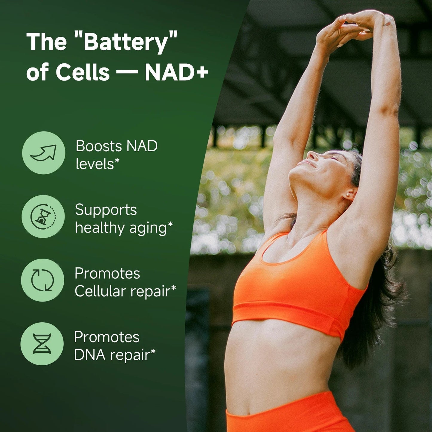 High Purity NAD Supplement
