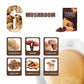 Organic Mushroom Coffee