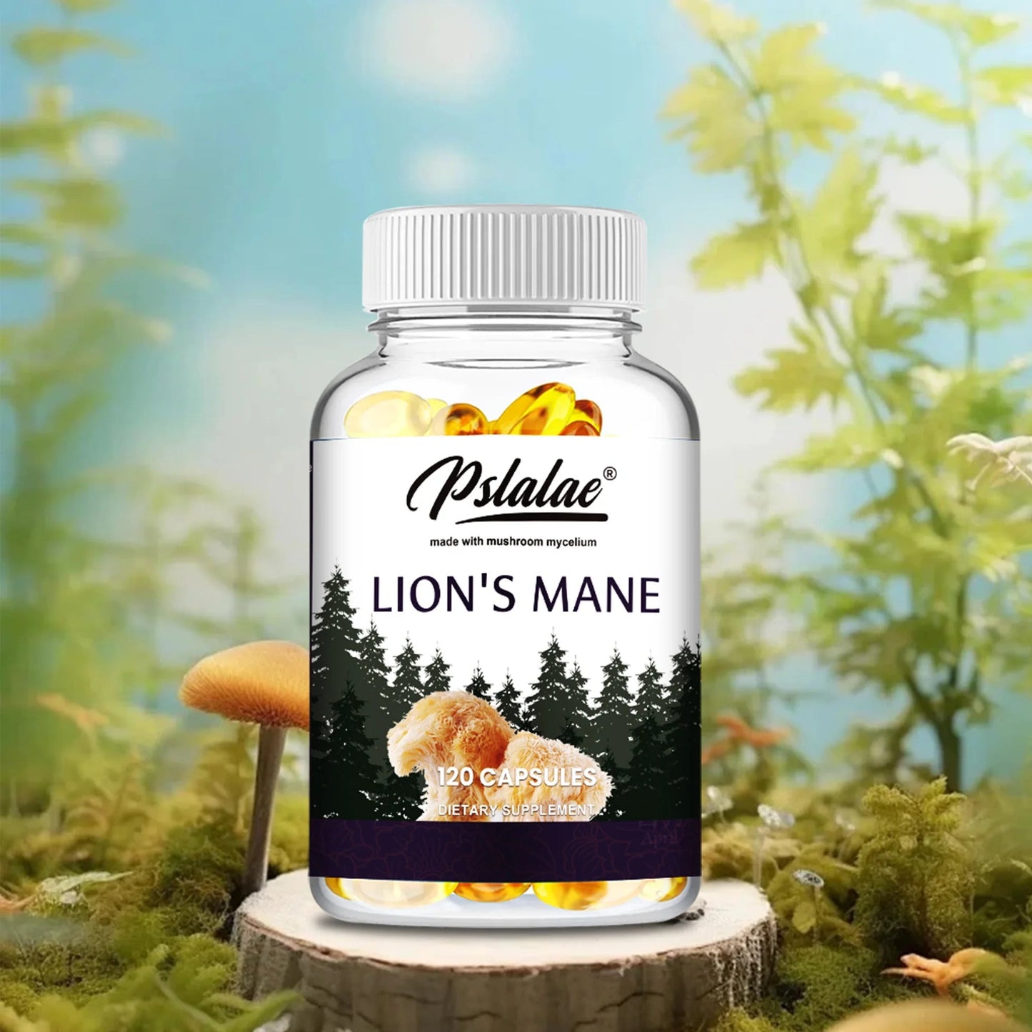 Lion's Mane 120 Capsules