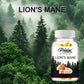 Lion's Mane 120 Capsules